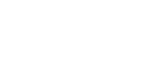 Logo FOTON